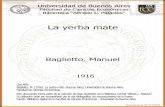 La yerba matebibliotecadigital.econ.uba.ar/download/tesis/1501-0029_BagliettoM.pdf · La yerba mate. Buenos Ajres: Universidad de Buenos Ajres. Facultad de Ciencias Económicas Este