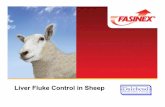 Liver Fluke Control in Sheep · or nitroxynil. Benefit of Killing all 3 Stages. Combined Treatment of Fluke and Worms There are times of the year when it is ideal to treat against