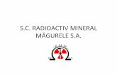S.C. RADIOACTIV MINERAL MĂGURELE S.A. Documents/Meetings/4th Workshop, 2015...•1961 Trustul Metale Rare, Grup Secții Geologice/ RARE EARTH TRUST, Group of geological branches ...