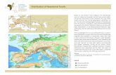 The Role of CulTuRe Distribution of Neandertal Fossils in ... · Distribution of Neandertal Fossils The Role of CulTuRe in eaRly expansions of humans Based on the present fossil evidence,
