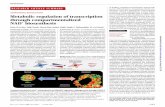 Metabolic regulation of transcription through compartmentalized … · RESEARCH ARTICLE SUMMARY ADIPOGENIC REGULATION Metabolic regulation of transcription through compartmentalized
