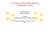 Curriculum Fisica della Materia Condensed matter · 2018-12-05 · Curriculum Fisica della Materia Condensed matter Responsible: Paolo Postorino E-mail: Paolo.Postorino@roma1.infn.it
