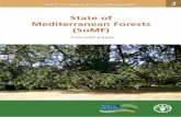 State of Mediterranean Forests (SoMF) · Méditerranéenes), Marc Palahí (EFIMED) and Gianluca Catullo (WWF). Special thanks to the Team in charge of the Global Forest Resources