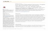 RESEARCH ARTICLE Echinochloa Chloroplast Genomes: Insights ...ibi.zju.edu.cn/bioinplant/Publication/ChuyuYe_PLOSOne_2014.pdf · RESEARCH ARTICLE Echinochloa Chloroplast Genomes: Insights