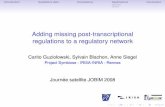 Adding missing post-transcriptional regulations to a ...Introduction Qualitative data Consistency Applications Conclusion Adding missing post-transcriptional regulations to a regulatory
