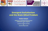 Emergent Evolutionism and the Brain-Mind Problem...Mario Bunge (1919) Karl Popper (1902-1994) The basic concepts of emergentism 1. Level “A group of entities that are exemplares