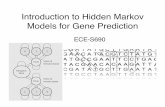 Introduction to Hidden Markov Models for Gene Prediction · Viterbi Algorithm Finds most likely sequence of hidden states or labels, L* or P* or π*, given sequence and model Uses
