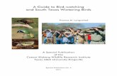 A Guide to Bird-watching and South Texas Wintering Birds · 2016-11-14 · 1 A Guide to Bird-watching and South Texas Wintering Birds Thomas M. Langschied Caesar KIeberg Wildlife
