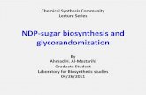 NDP sugar biosynthesis and glycorandomizationChemical Synthesis Community Lecture Series NDP ‐ sugar biosynthesis and glycorandomization By Ahmad H. Al ‐ Mestarihi Graduate Student