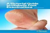 A Pictorial Guide to Diabetic Foot Examinations · 4 Carrying out a foot examination A structured approach to each foot examination will produce a more consistently accurate risk
