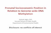 Prenatal Socioeconomic Position in Relation to Genome-wide … · 2014-03-20 · Prenatal Socioeconomic Position in Relation to Genome-wide DNA Methylation. Golareh Agha, PhD. Harvard