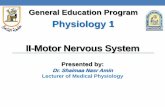 Physiology 1 II-Motor Nervous System Files/Physiology 1/motor 1.pdf · -Stretch reflex (reflex arc , Functional anatomy of muscle spindle). The major components of the Motor Nervous
