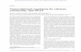 Transcriptionalregulationbycalcium, calcineurin,andNFATgenesdev.cshlp.org/content/17/18/2205.full.pdf · REVIEW Transcriptionalregulationbycalcium, calcineurin,andNFAT PatrickG.Hogan,1LinChen,3JulieNardone,1andAnjanaRao1,2,4