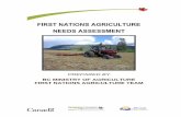 FIRST NATIONS AGRICULTURE NEEDS ASSESSMENT · 2015-10-02 · First Nations Needs Assessment Report Page iv Access to capital and resources, business management support and skills