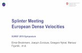 Splinter Meeting European Dense Velocities3 swisstopo Splinter –European Dense Velocities, EUREF19, E. Brockmann, J. Zurutuza, et al. Examples from Praxis –how it works • Poland