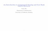 An Introduction to Compressed Sensing and Low Rank Matrix ...mgu/Seminar/Spring2010/April2009Slides2.pdfAn Introduction to Compressed Sensing and Low Rank Matrix Recovery Cinna Wu