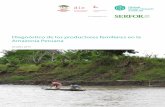 Diagnóstico de los productores familiares en la Amazonía ... · Amazonía Peruana. A partir de las "formas de nombrar" la realidad multifacética de la agricultura familiar, este