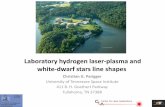 Laboratory hydrogen laser -plasma and white-dwarf stars ... · Laboratory hydrogen laser -plasma and white-dwarf stars line shapes Christian G. Parigger University of Tennessee Space