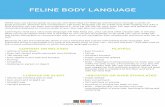 FELINE BODY LANGUAGE - Arizona Humane Society · 2019-07-08 · body postures, gestures and vocalizations. Her body language can be subtle and wide-ranging, but with a little practice