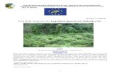 circabc.europa.eu …  · Web viewEUROPEAN AND MEDITERRANEAN PLANT PROTECTION ORGANIZATION. ORGANISATION EUROPEENNE ET MEDITERRANEENNE POUR LA PROTECTION DES PLANTES. 18-23431 (17-22543)