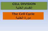 The Cell Cycle¥نقسام الخلية.pdf · G0 Phase نومكلا روط • There are times when a cell will leave the cycle and quit dividing. ماسنلإا نع هيف فقوتتو