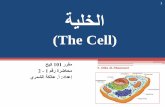 الخلية (The Cell)fac.ksu.edu.sa/sites/default/files/lkhly.pdf · Endoplasmic Reticulum ةيمزلابودنلإا ةكبشلا تاپٸ٨٫ ٮٴٜت تاپج٣ ڀٰٛ ځپتحت
