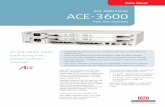 ACE-3000 Family ACE-3600 · ACE-3600 RNC-Site Gateway Over L2 and L3 networks, ACE-3600 uses various encapsulation types: VLANs (virtual LANs), dynamic and static MPLS label