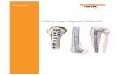 Locking Large Fragment Overview - Smith & Nephe · The PERI-LOC™ Periarticular Locked Plating System from Smith & Nephew offers the advantages of locked plating with the flexibility
