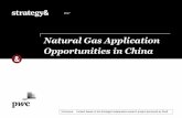 Natural Gas Application Opportunities in China · boiler Coal boiler • Gas boiler is more stable , with less failure rate and longer working hours • A chemical company in Xinjiang: