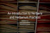 An Introduction to Herbaria and Herbarium Practices...Oomycota Gabriela Brändle (CC BY-ND 2.0) Myxomycetes Courtesy of George Riner Used with permission ©John Van Der Heul ... Habitat