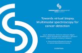 Towards virtual biopsy. Multimodal spectroscopy for cancer detection spectroscopy.pdf · 1 Towards virtual biopsy. Multimodal spectroscopy for cancer detection Ivan A. Bratchenkoa,