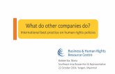 What do other companies do? · •The only free, global knowledge hub revealing the human rights performance and policy of over 5,600 companies in over 180 countries •Links to reports