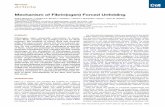 Mechanism of Fibrin(ogen) Forced Unfoldingfaculty.uml.edu/vbarsegov/papers/BarsegovStructure11.pdfStructure Article Mechanism of Fibrin(ogen) Forced Unfolding Artem Zhmurov,1 ,2 Andre