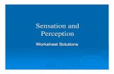 Sensation and Perception WORKSHEET SOLUTIONS and...Sensation Refers to how our sense receptors and nervous system physically represent our external environment (bottom-up). Perception