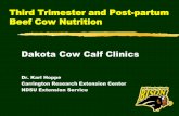 Third Trimester and Post-partum Beef Cow …...Third Trimester and Post-partum Beef Cow Nutrition Dakota Cow Calf Clinics Dr. Karl Hoppe Carrington Research Extension Center NDSU Extension