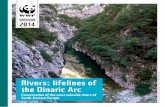 Rivers: lifelines of the Dinaric Arcawsassets.panda.org/downloads/wwf_brosura_print_eng_1.pdf · With its long, deep, unspoiled, crystal clear waters, the river network of the Dinaric