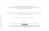 Ethnic Conflict Management and Deliberative Transformative … · Deliberative Transformative Moments in Srebrenica, Bosnia and Herzegovina Inaugural dissertation submitted by Simona