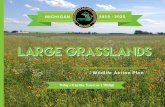 Large GrasslandsLarge GrasslandsLarge Grassland complexes provide a variety of habitats across the successional gradient of grassland vegetation types. The focal species identified