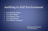 Auditing in SAP Environment · Auditing in SAP Environment CA Shirish Padey CA Heta Shah CA Mitesh Vora CA Kajal Shah CA Rakesh Lakhani ICAI-Mumbai Branch 8 th June,2019