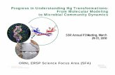 Progress in Understanding Hg Transformations: From ... · 1 Managed by UT-Battelle for the U.S. Department of Energy Progress in Understanding Hg Transformations: From Molecular Modeling