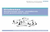 Antenatal care, childbirth and postnatal care · Antenatal care, childbirth ... This leaflet has been written for you by the midwives to help you understand the care that you will