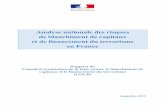 Analyse nationale des risques de blanchiment de …...Analyse nationale des risques de blanchiment de capitaux et de financement du terrorisme en France Rapport du Conseil d’orientation