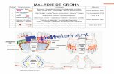 MALADIE DE CROHNreflexologiefamiliale-formation.com/wp-content/uploads/2019/06/CROHN.pdf · Valvule I.C- côlon- sigmoïde - rectum Valvule et sigmoïde : crochetage dispersant Côlon