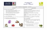 IPC PLAN 5º EPO 2 TERM JANUARY - FEBRUARYHow and why living things are classified How a vertebrate and an invertebrate are different How to classify local plants and animals About