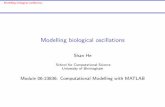 Modelling biological oscillationsszh/teaching/matlabmodeling/Lecture10_body.pdf · Modelling biological oscillations Limit circle oscillation: Van der Pol equation Classi cation of