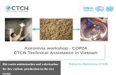 Koronivia workshop - COP24 CTCN Technical Assistance in ... · •Develop business plan for rice husk converted product (pellet, briquette…) •Research, test and select suitable