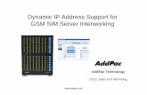 Dynamic IP Address Support for GSM SIM Server Interworking Dynamic IP Address Environment (SIM Client : Wireless Access Network) Dynamic DNS DNS Update DNS Query (gethostbyname) Internet