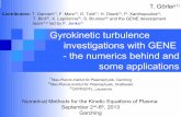Gyrokinetic turbulence investigations with GENE - the ... · T. Görler(1) (1)Max-Planck-Institut für Plasmaphysik, Garching (2)Max-Planck-Institut für Plasmaphysik, Greifswald
