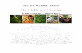 How Do Plants Grow - EnvLitenvlit.educ.msu.edu/publicsite/files/CarbonCycle/CC TeachingExpe…  · Web viewHowever, although we might all have ideas about what plants need to grow