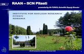 RAAN SCN Pitesti - ifa-mg.ro · Pitesti, had the mission to provide the transfer of nuclear technologies for nuclear power program (past names: Institute for Nuclear Technologies,